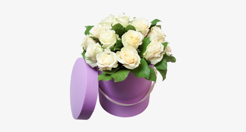 Visit - Цветы В Коробках Пнг, transparent png download