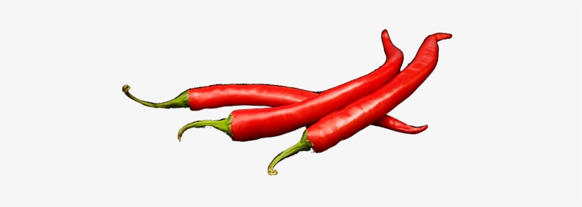 Fresh Red Chilli Pepper, With Tonic - Bird's Eye Chili, transparent png download