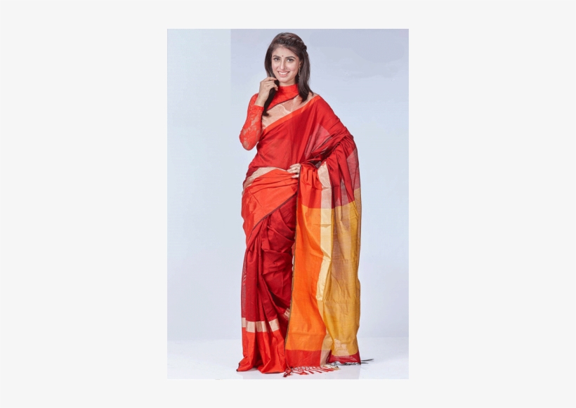 Sari, transparent png download
