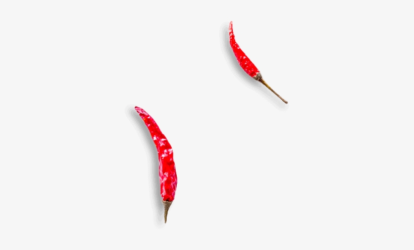 Bird's Eye Chili, transparent png download