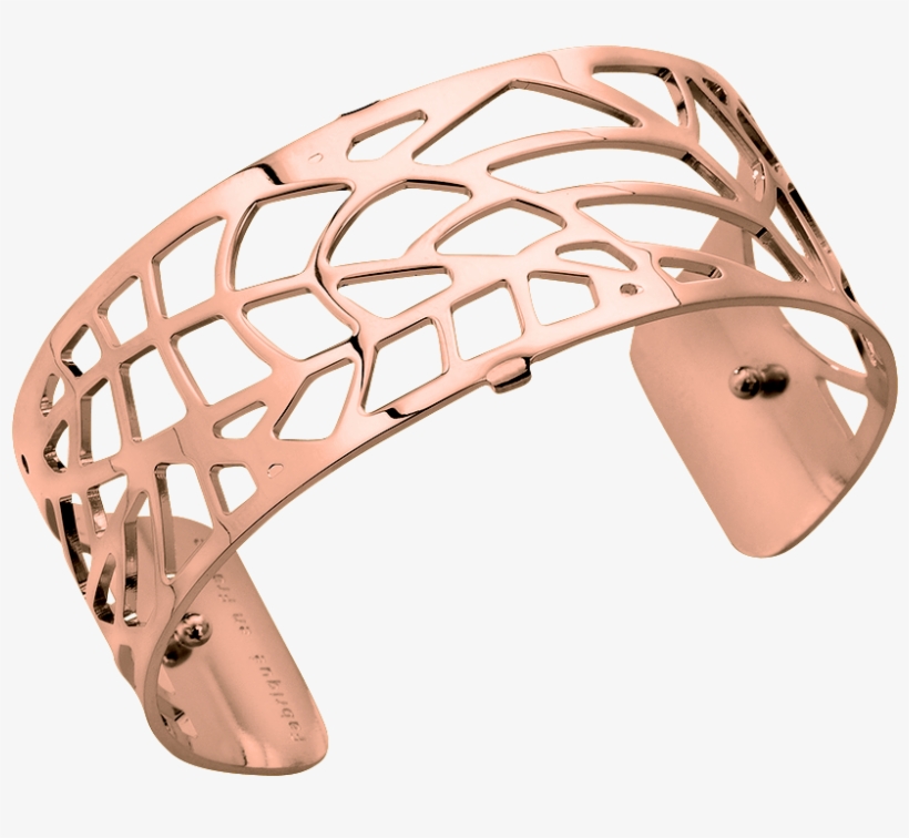 Les Georgettes Fougere 25mm, transparent png download