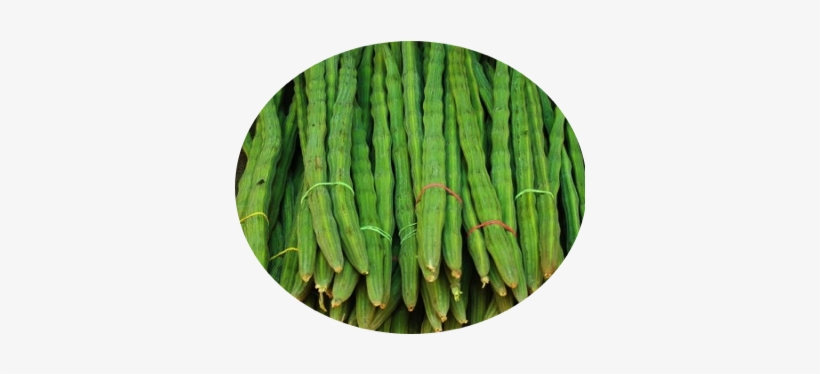 Drumstick / ड्रमस्टिक - Sahjan Vegetable In Hindi, transparent png download