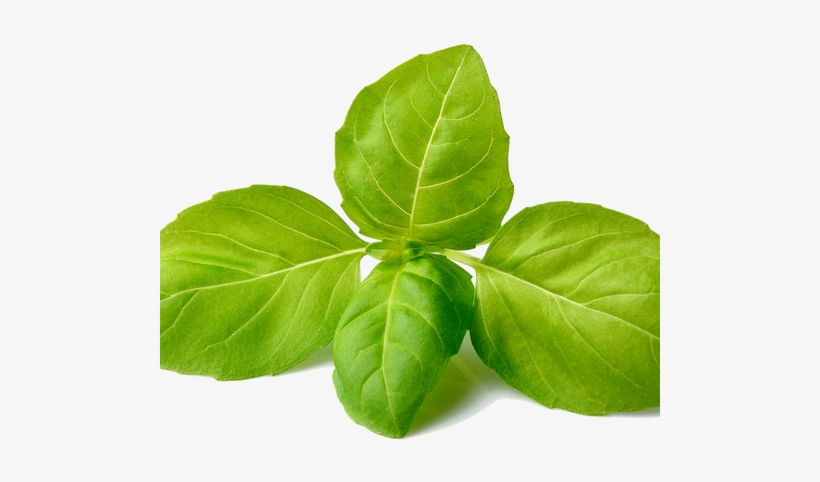 Khadi Basil Scrub Soap-125g Set Of 4, transparent png download