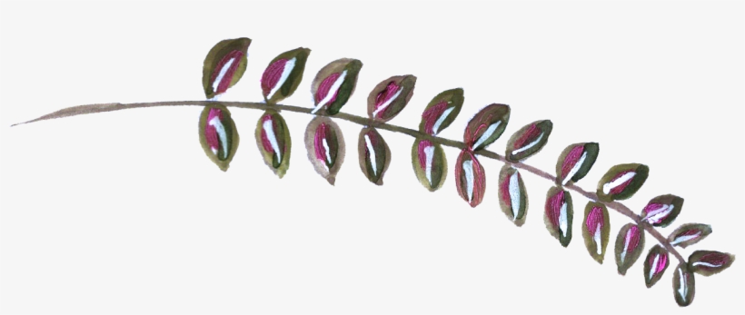 0℃素材27 - Portable Network Graphics, transparent png download