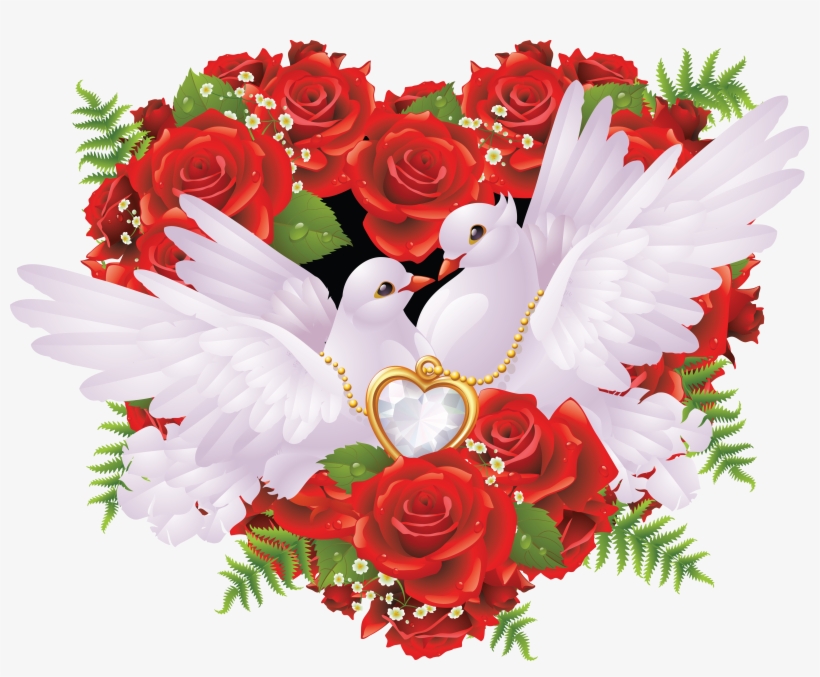 Голуби В Картинках И Принтах, transparent png download