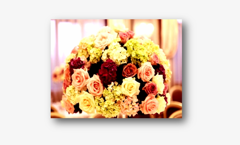 Wedding Package - Photograph, transparent png download