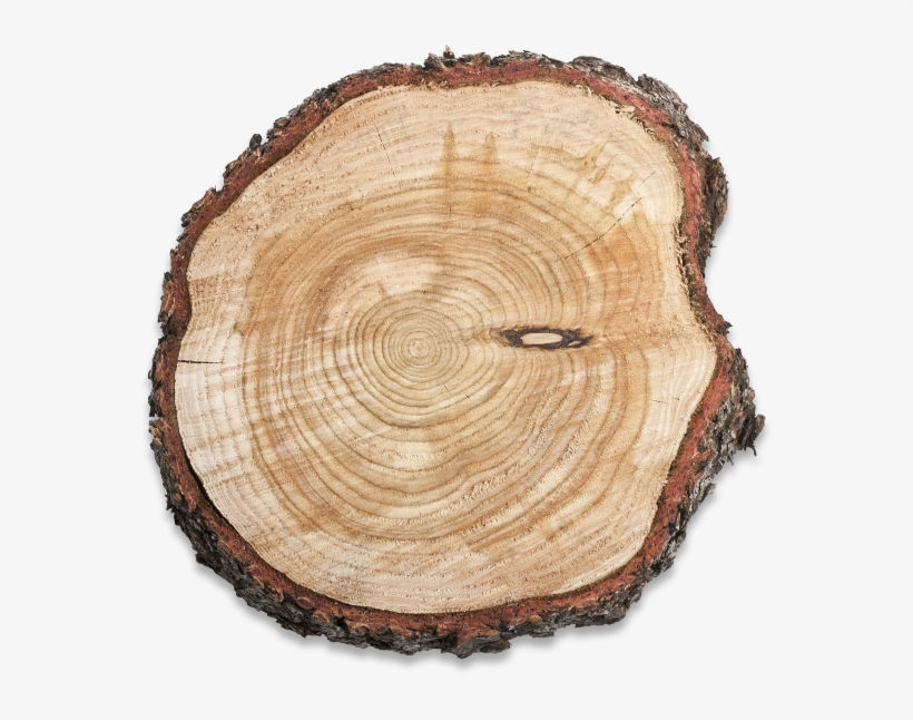 Wood-cut - Wood PNG Image | Transparent PNG Free Download on SeekPNG