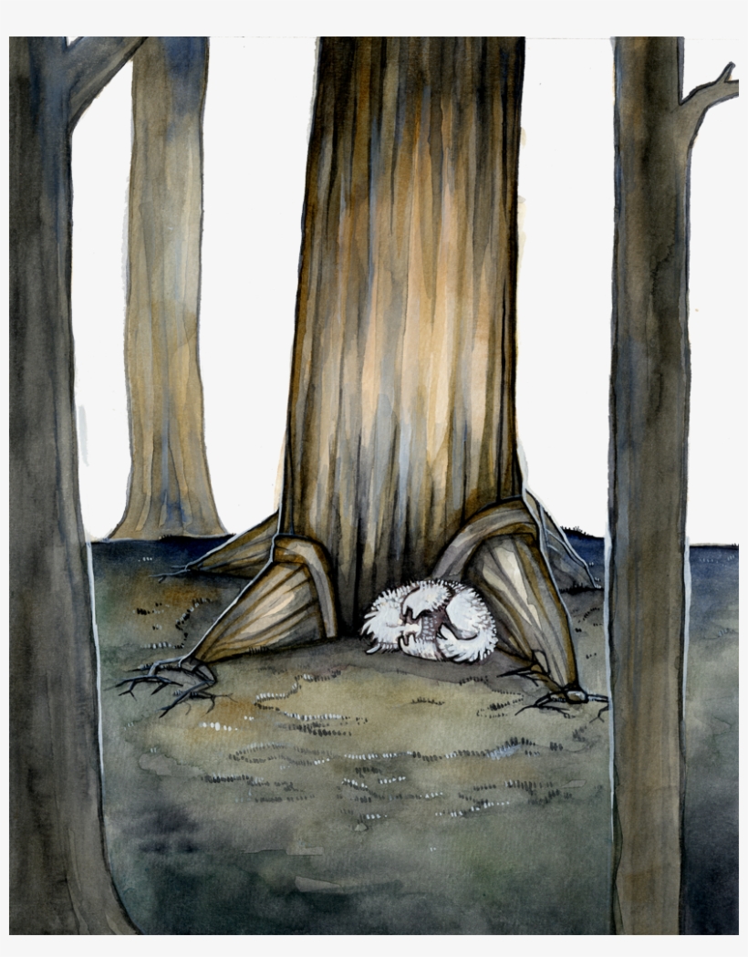 Omlo - Children Book - Book, transparent png download