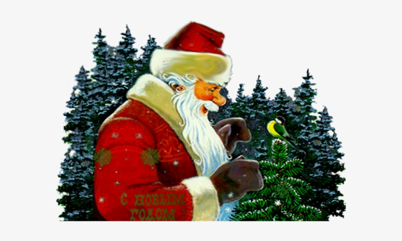 Publicat De Eu Ciresica La - Дед Мороз В Профиль Рисунок, transparent png download