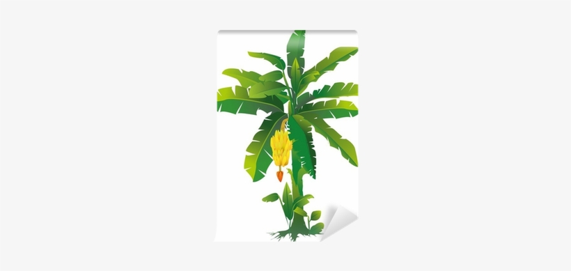 Banana Tree Vinyl Wall Mural • Pixers® • We Live To - Banana Tree Illustration, transparent png download