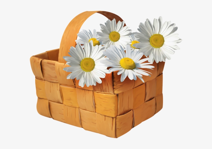 Transparent Basket Clip Art, transparent png download