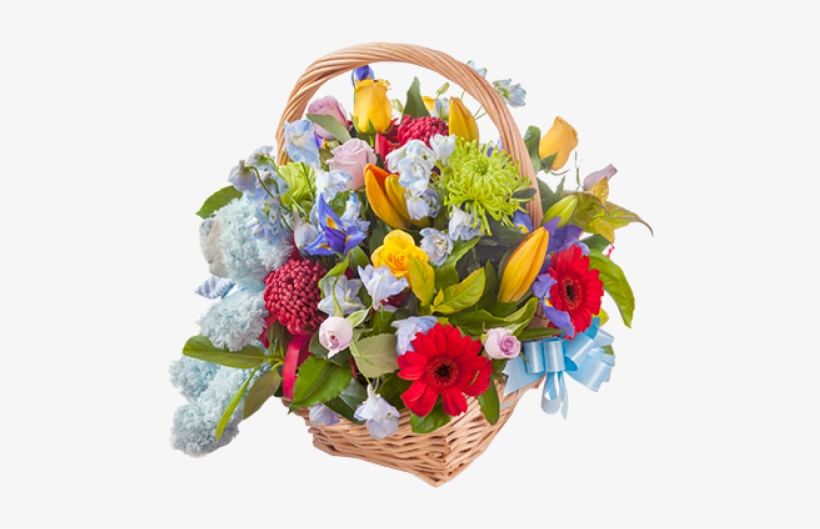 Baby Boy Flower Basket - Arrangement, transparent png download