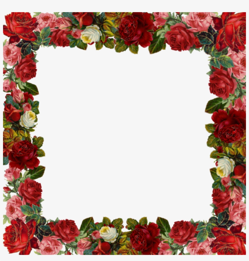 Flowers Frame Flowerframe Aesthetic Roseframe Rose - Bea's Random Buzzings By Beatrice Diamond, transparent png download