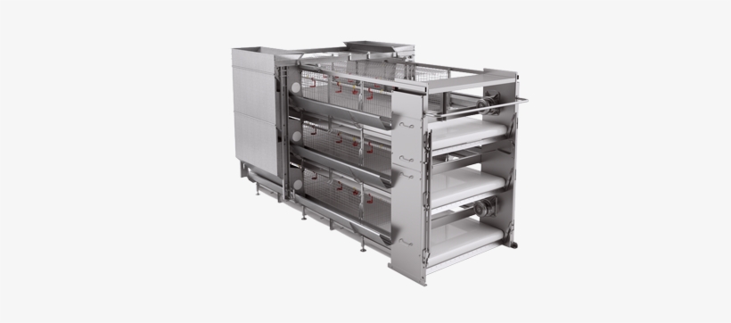 Equipment For Poultry Meat Production - Equipment In Poultry Production, transparent png download