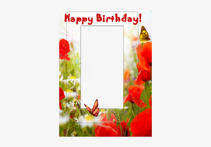 Happy Birthday Photo Frames - Happy Birthday Frame Download, transparent png download