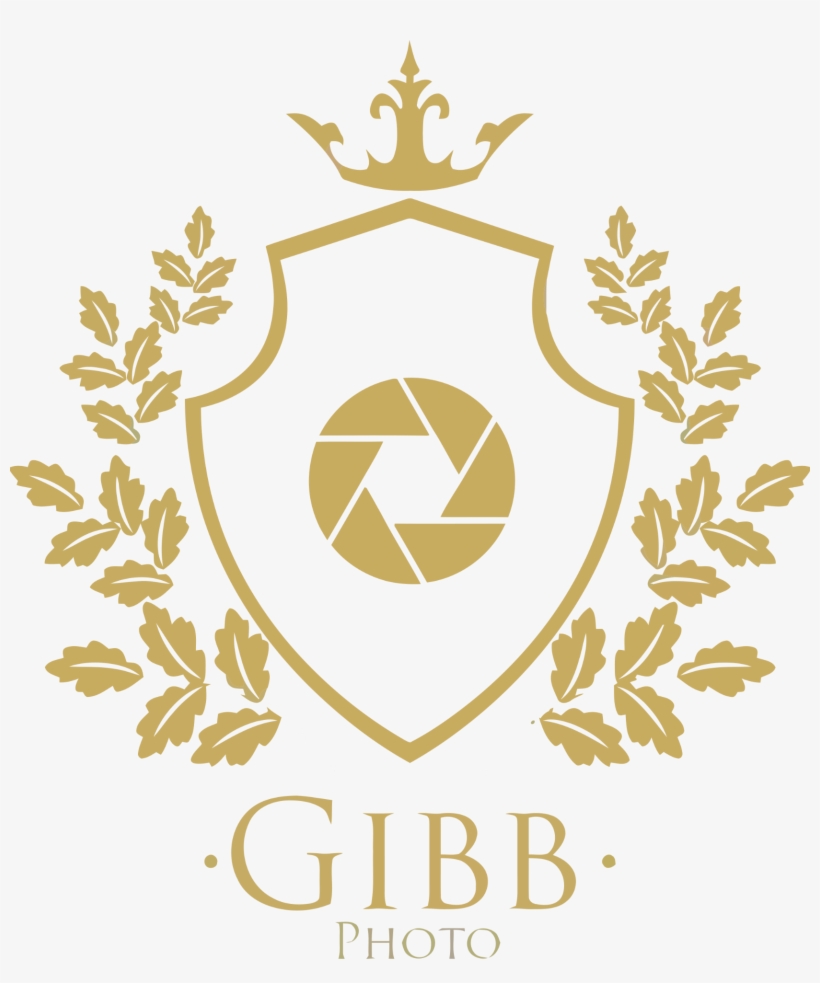 Professional Photography - Hotel, transparent png download