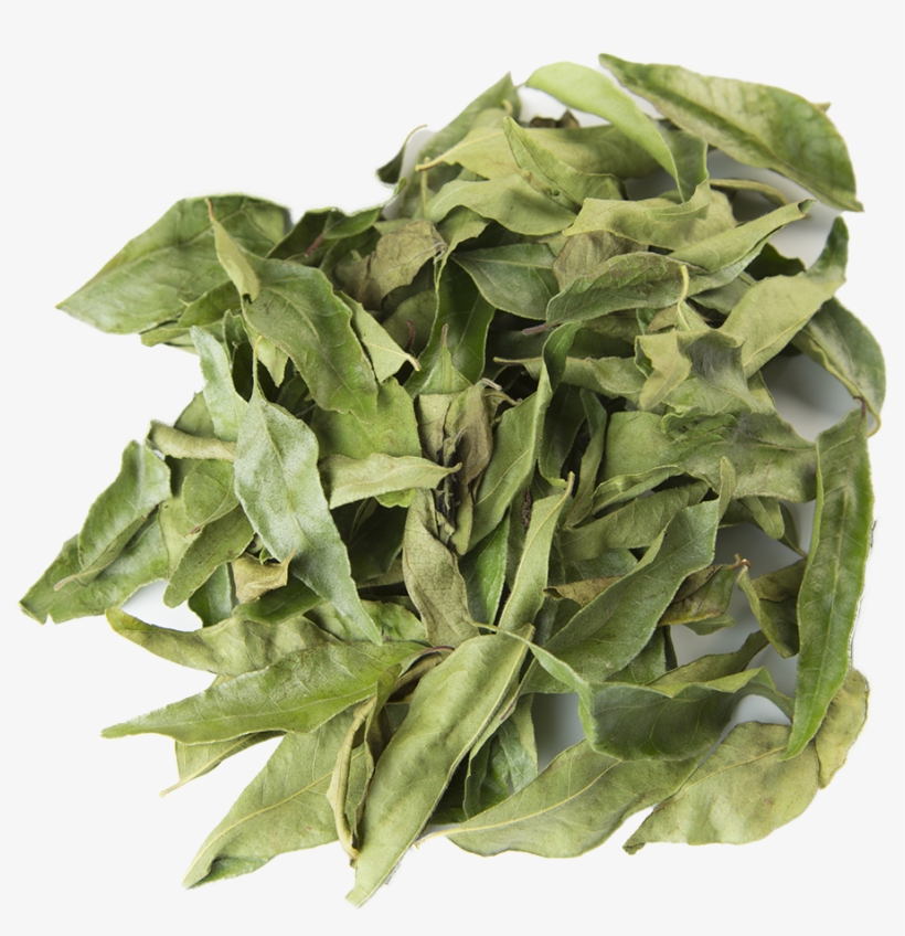 Curry Tree, transparent png download