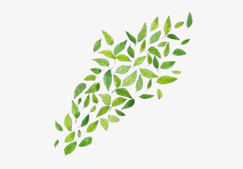 Myremix Remixit Pool Trees Man Suit Sun Water Pooldec - Green Flowers Png, transparent png download