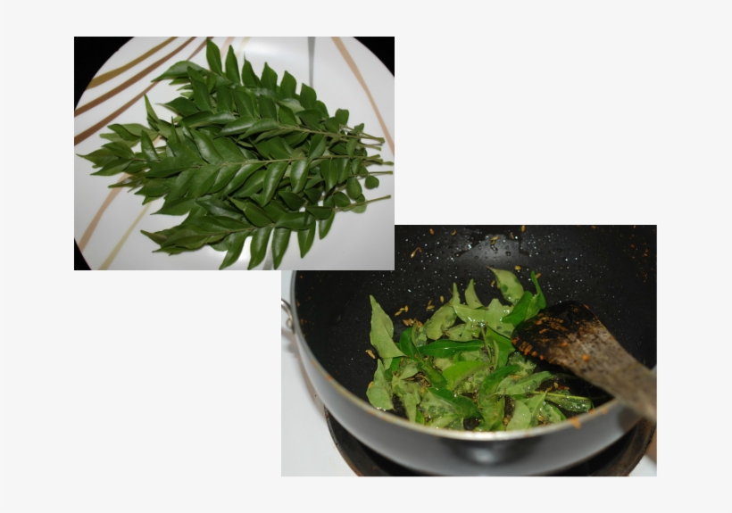 The Carbazole Alkaloids Present In Curry Leaves Play - Curry Tree, transparent png download