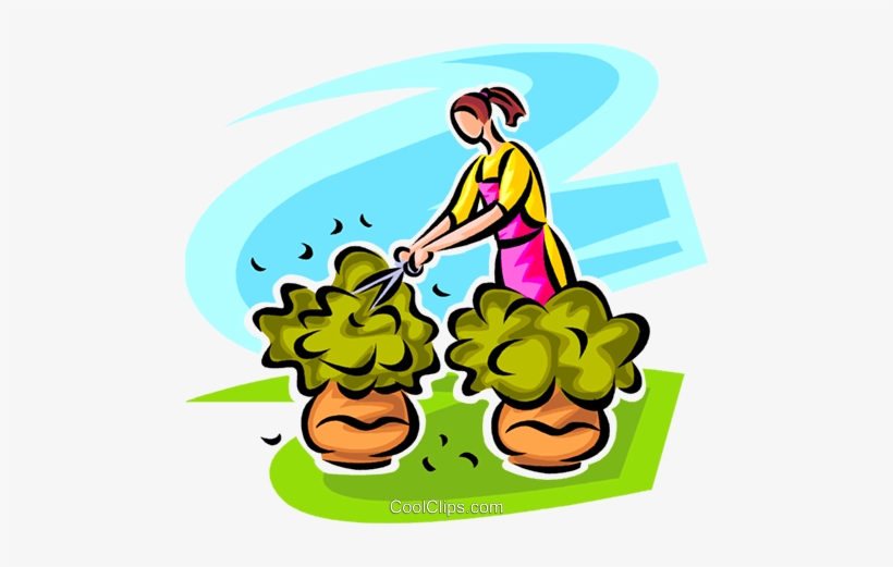 Woman Pruning Shrubs Royalty Free Vector Clip Art Illustration - Pruning A Bush Clipart, transparent png download