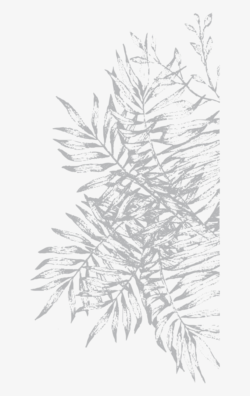 Notre Version D'un Grand Classique Italien, Agrémentée - Sketch, transparent png download