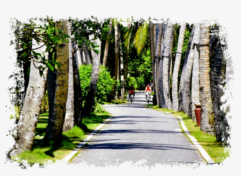Take An Idyllic Cycle - Maldives, transparent png download