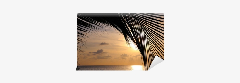 Coconut Palm Tree Leaf Silhouette Against Tropical - Palm Over Sunset Canvas Size: 135 X 90cm, transparent png download