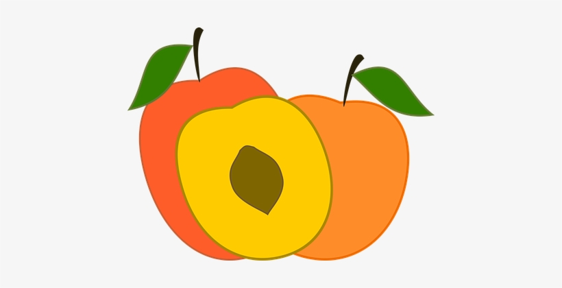 Peach Peaches Fruit Sweet Fruit Season Hea - Transparent Peach Vector, transparent png download