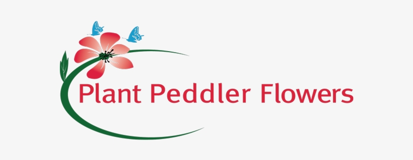 Plant Peddler Flowers - Plant Peddler Flowers & Hallmark Gold Crown Store, transparent png download