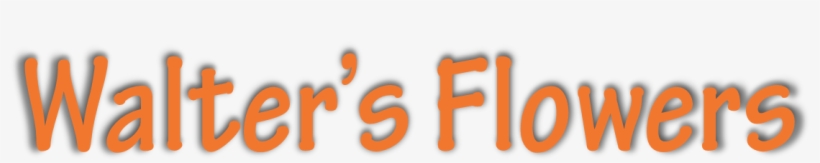 Walter's Flowers - Bikkel Ridder's Friend Is Sick With Cancer, transparent png download