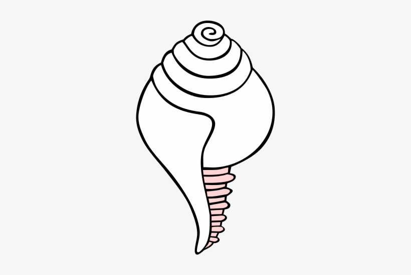 Śaṅkha - Outline Image Of Conch, transparent png download