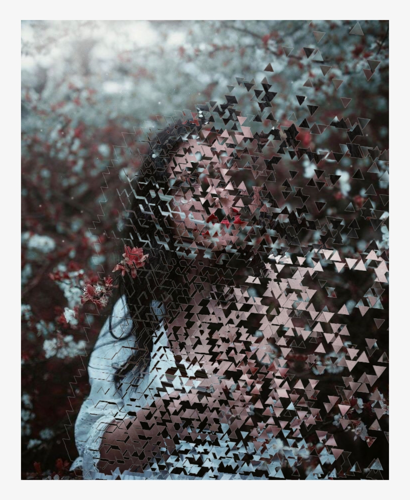 Sign In To Save It To Your Collection - Photography, transparent png download