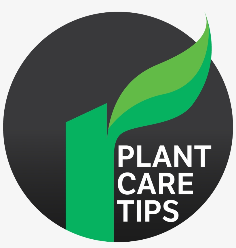Plantcare Tip Icon - Gloucester Road Tube Station, transparent png download