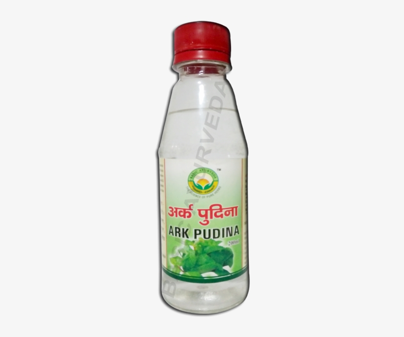 Ark Pudina - Plastic Bottle, transparent png download