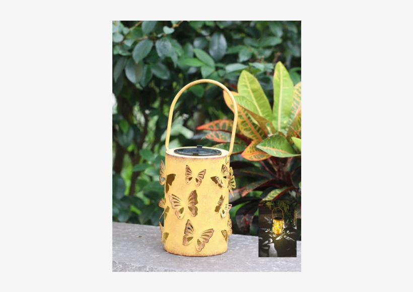 Lantern Butterfly Solar, transparent png download
