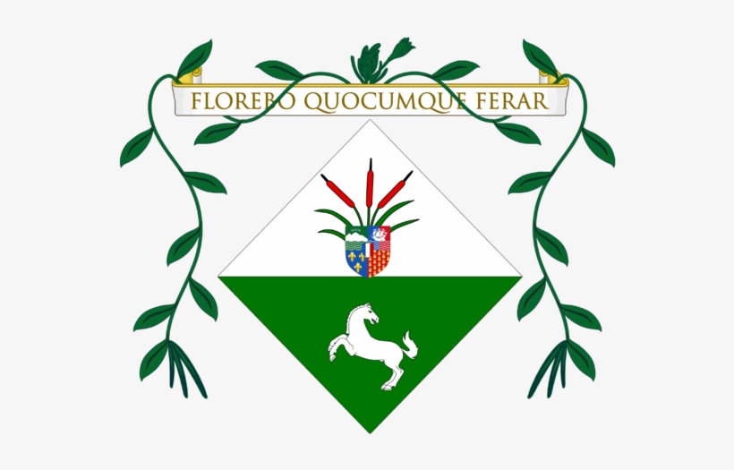 Coat Of Arms Of Frederique Lefelatabvre Full Achievement - La Reunion Coat Of Arms, transparent png download