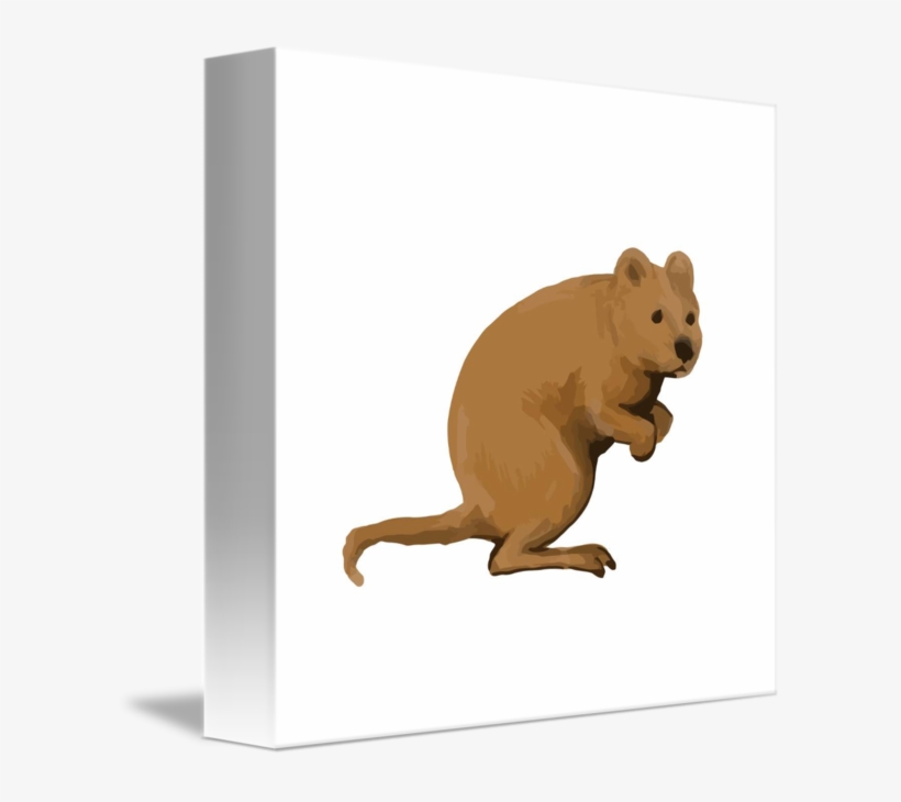 Side Watercolor By Aloysius - Cafepress Quokka Side Watercolor Iphone 6/6s Tough, transparent png download
