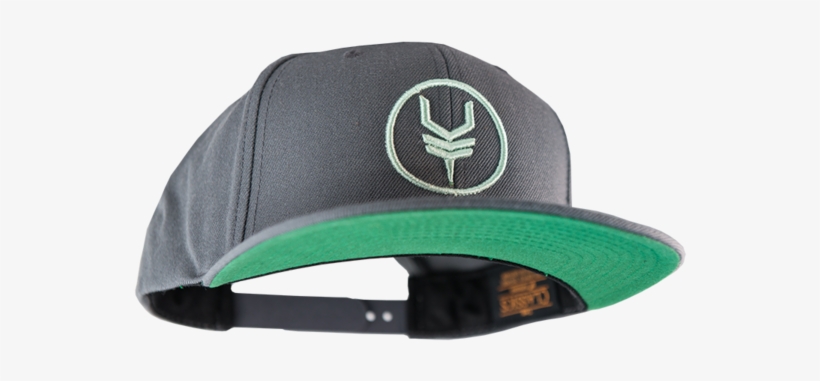 Looking For A Hat With This Logo On It - Disc Golf Hat, transparent png download