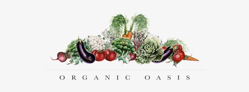 Watercolor Illustration For Organic Oasis On Behance - Vegetable, transparent png download