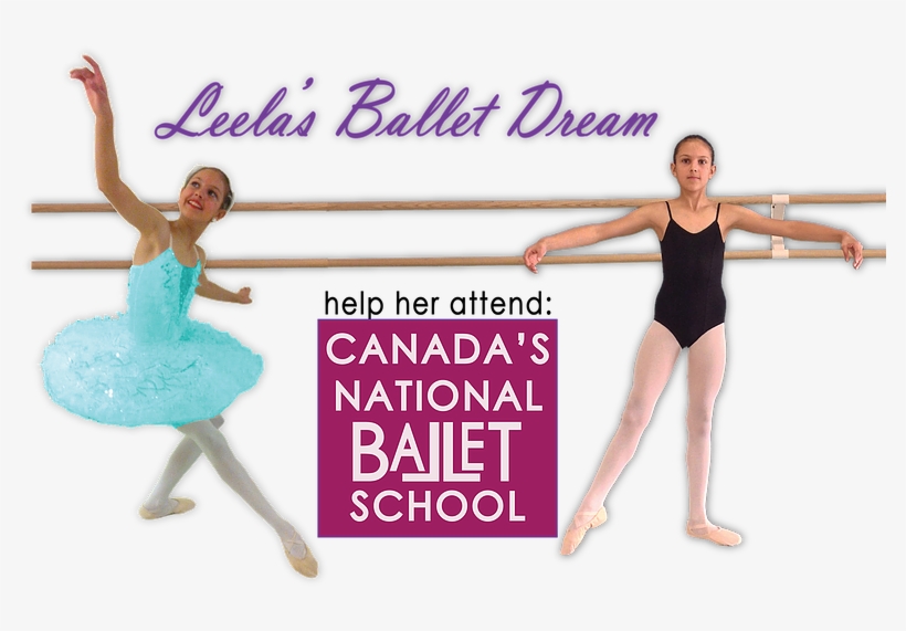 Leela Gofundme Header No Logo - Chapter, transparent png download