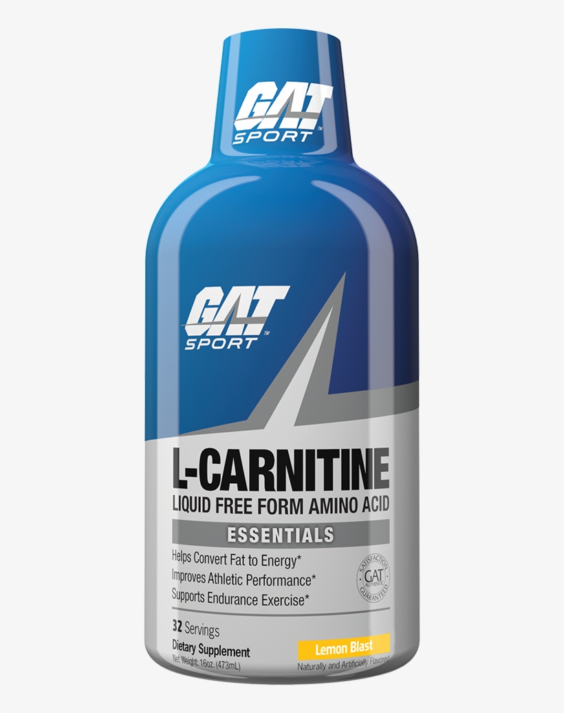 L-carnitine Liquid - Gat L Carnitine Liquid, transparent png download