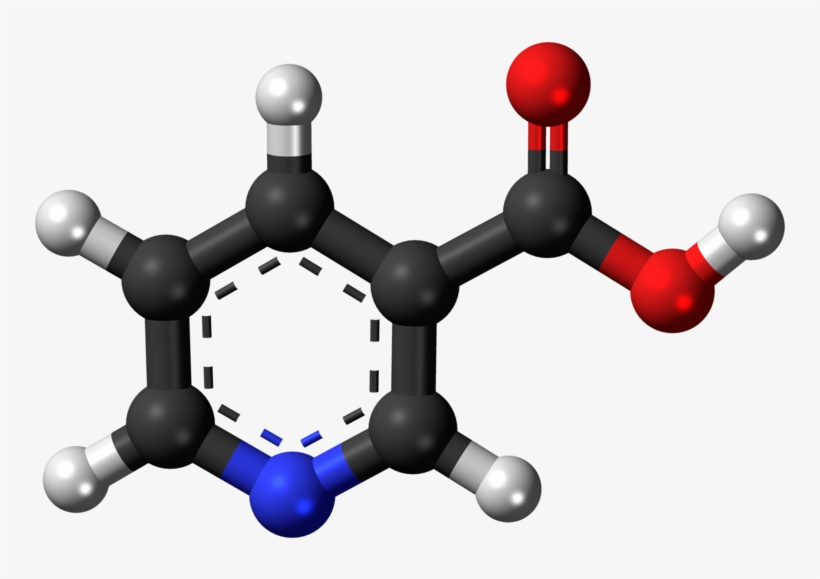 Throwing Doubt On How Niacin Works - Amine Compounds (chemical Compounds), transparent png download