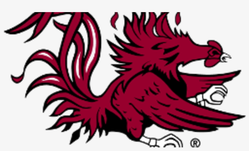 Gamecocks Announce 2019 Football Schedule - South Carolina Gamecocks, transparent png download