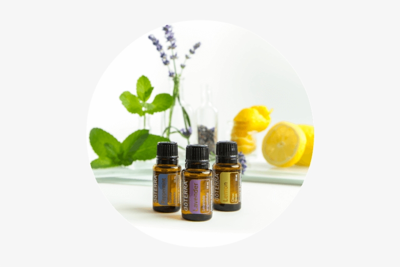 Learn About The Best Essential Oils - Cosmetics, transparent png download