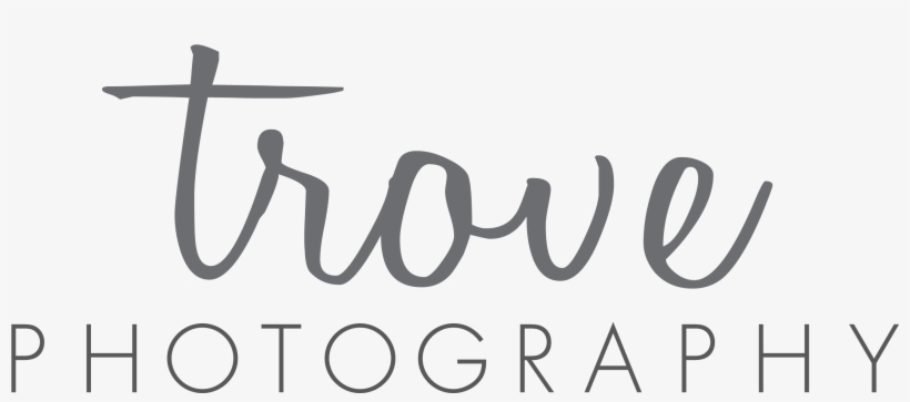Photography, transparent png download