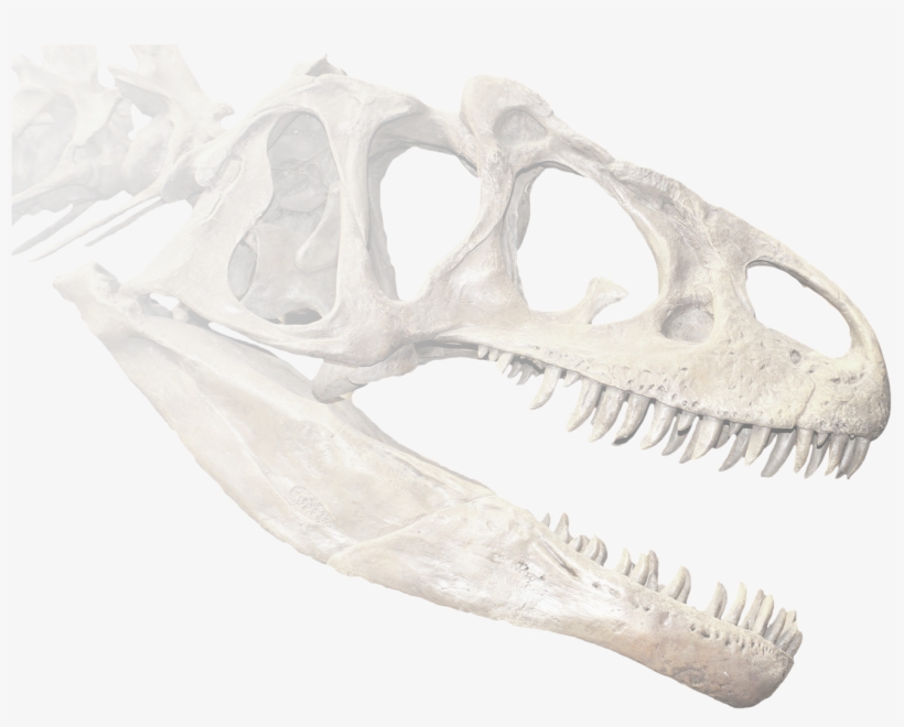 Ken Ham, transparent png download