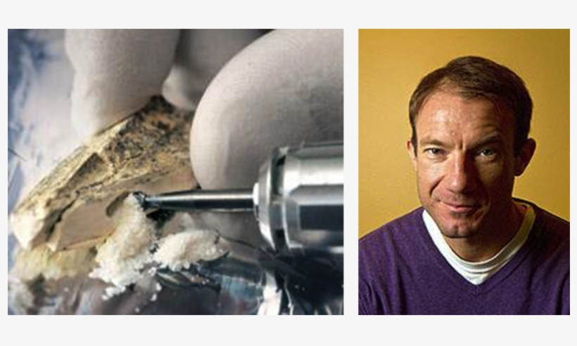 Fossil Finger Bone Yields Genome Of A Previously Unknown - Bone Dna, transparent png download