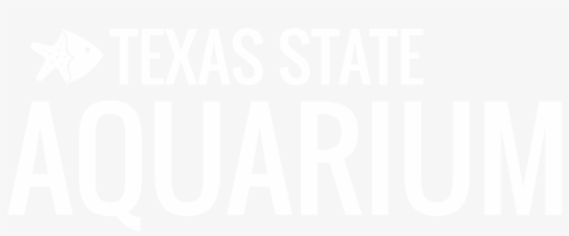 Health And Safety Statistics Nz, transparent png download