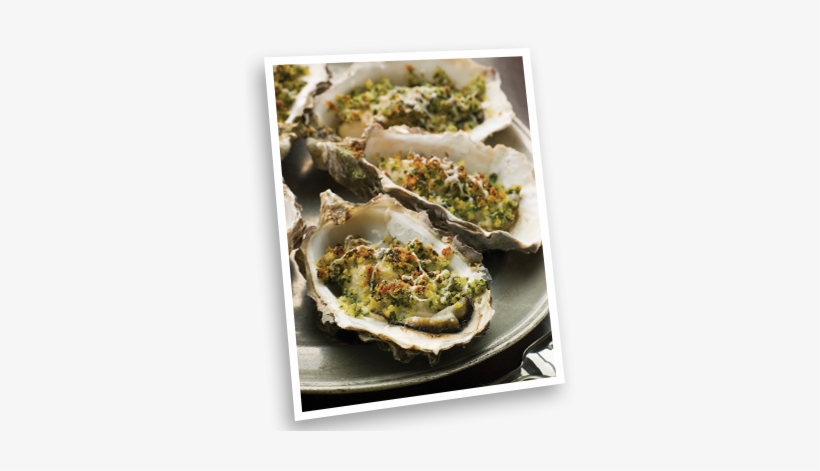 Oysters Rockefeller - Rockefeller Oysters, transparent png download