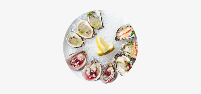 Make Your Plans - Chicago, transparent png download